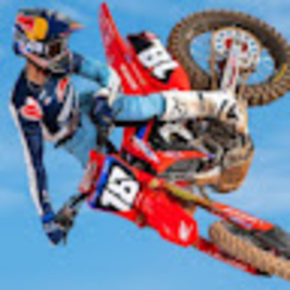 Meet your Posher, Jayden - Picture 1 of 1